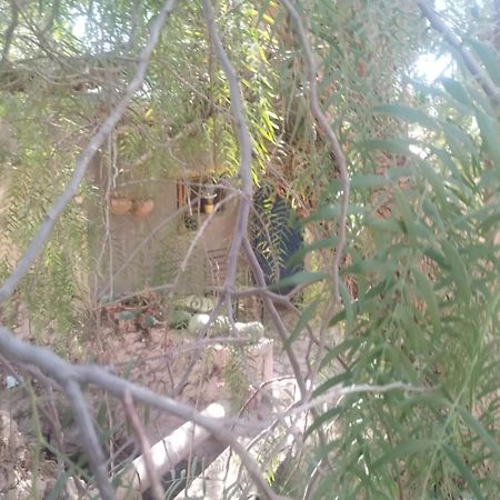 La Casita Otel Tilcara Dış mekan fotoğraf