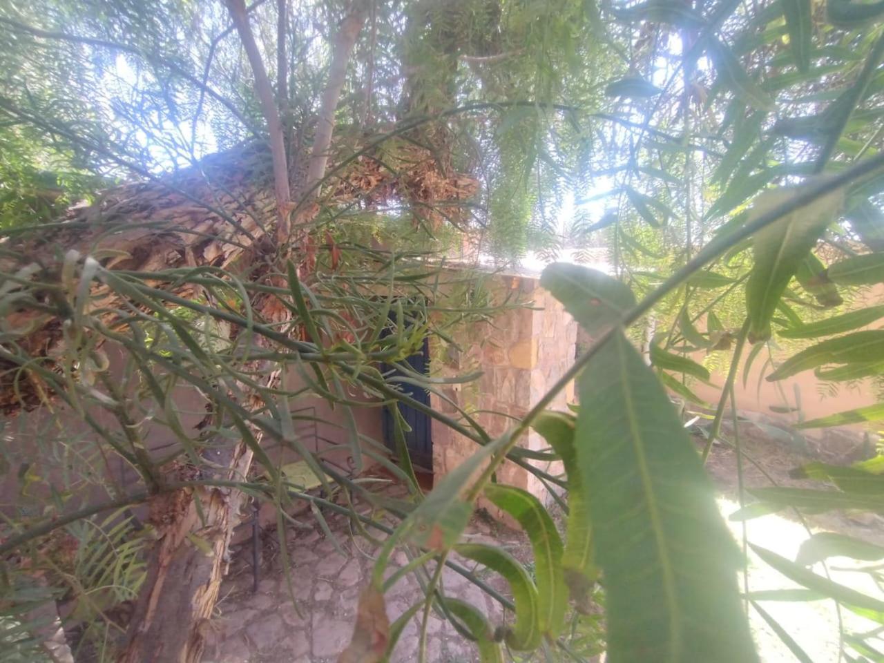 La Casita Otel Tilcara Dış mekan fotoğraf