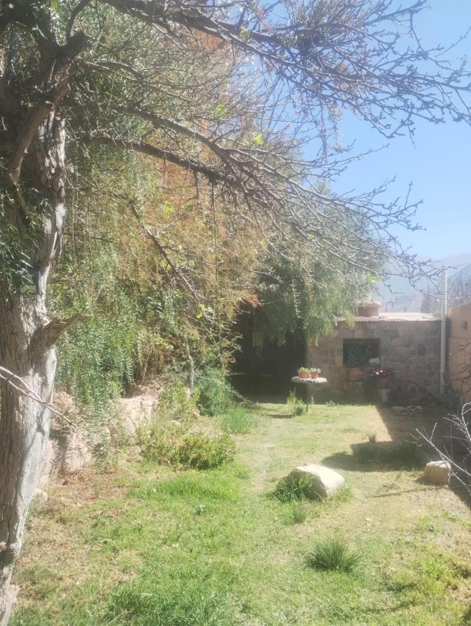 La Casita Otel Tilcara Dış mekan fotoğraf