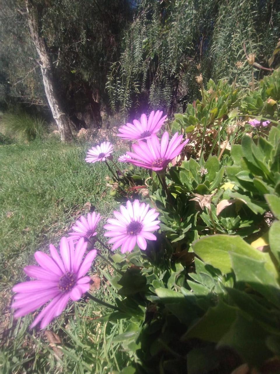 La Casita Otel Tilcara Dış mekan fotoğraf
