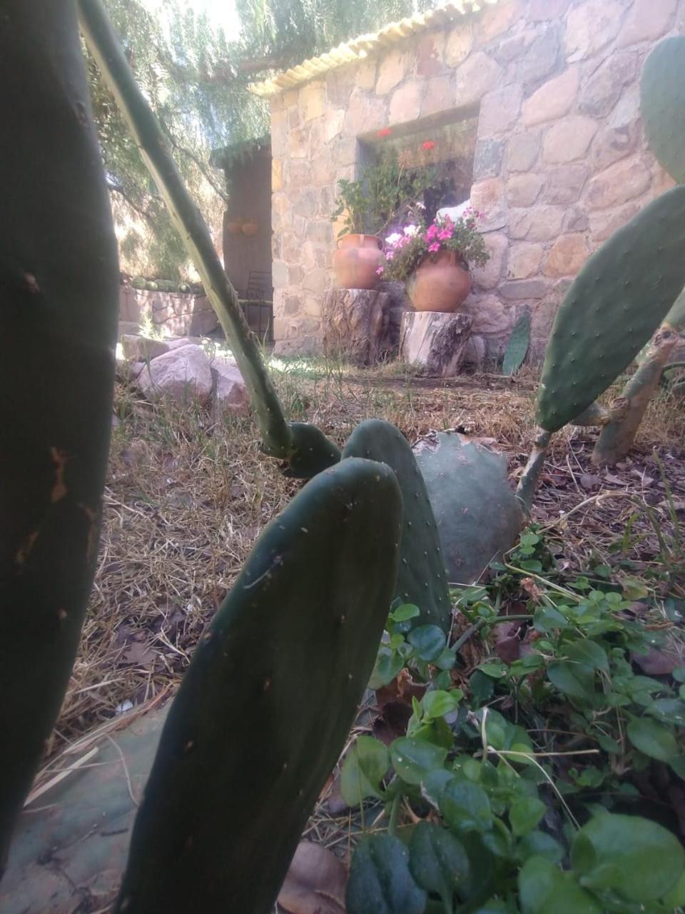 La Casita Otel Tilcara Dış mekan fotoğraf