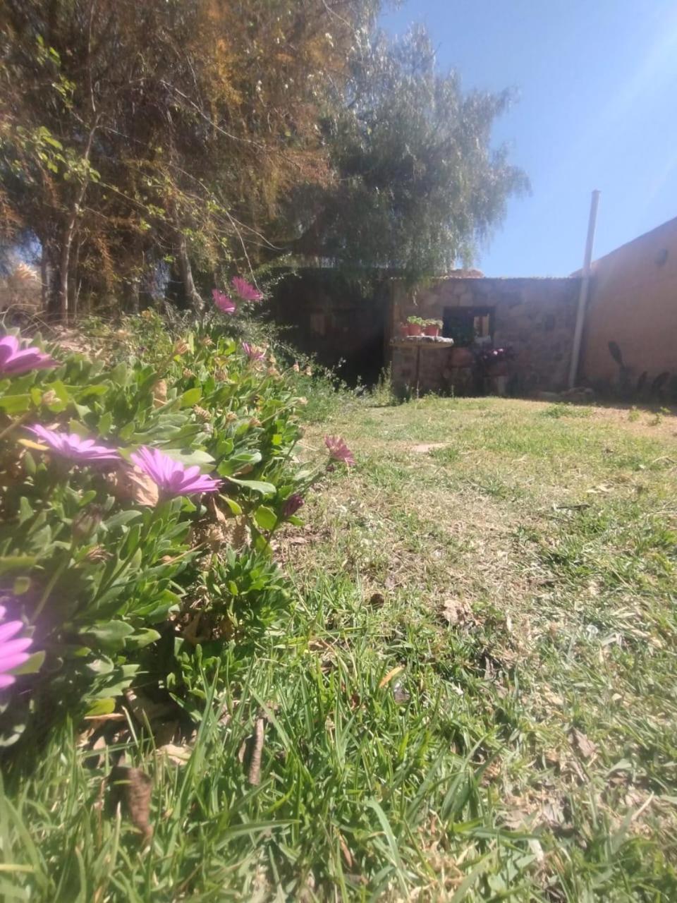 La Casita Otel Tilcara Dış mekan fotoğraf