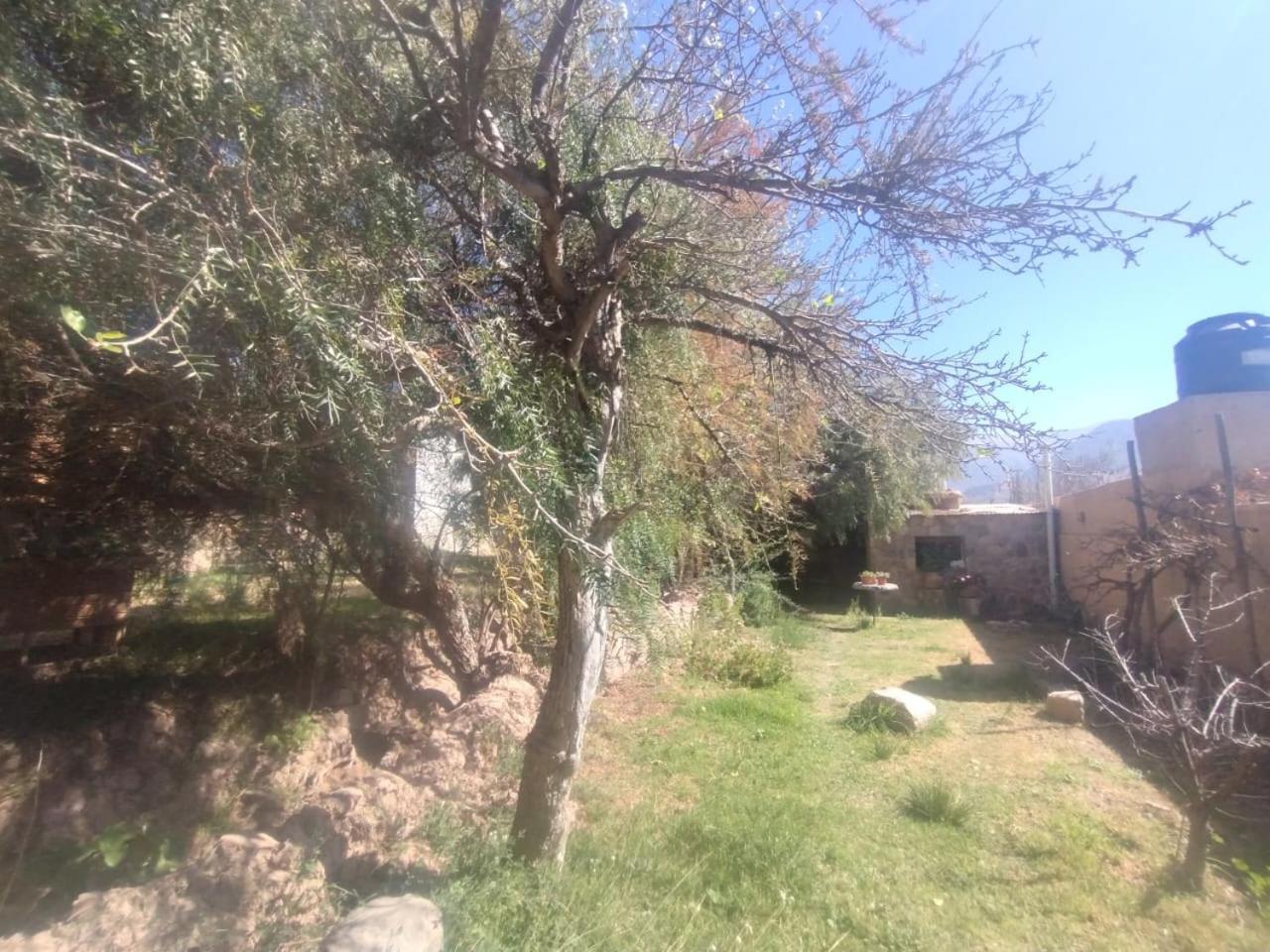 La Casita Otel Tilcara Dış mekan fotoğraf