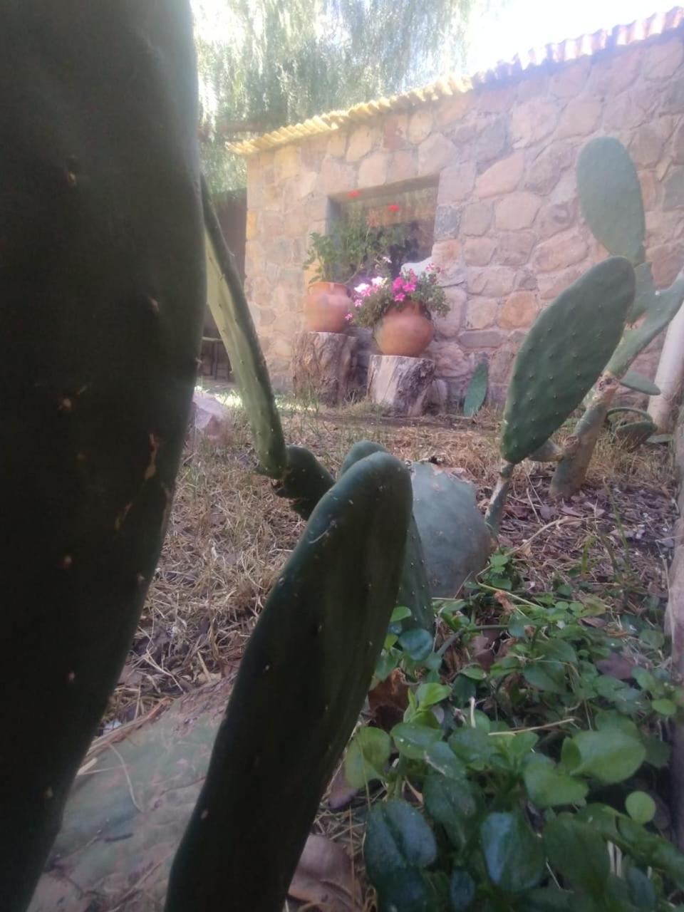 La Casita Otel Tilcara Dış mekan fotoğraf