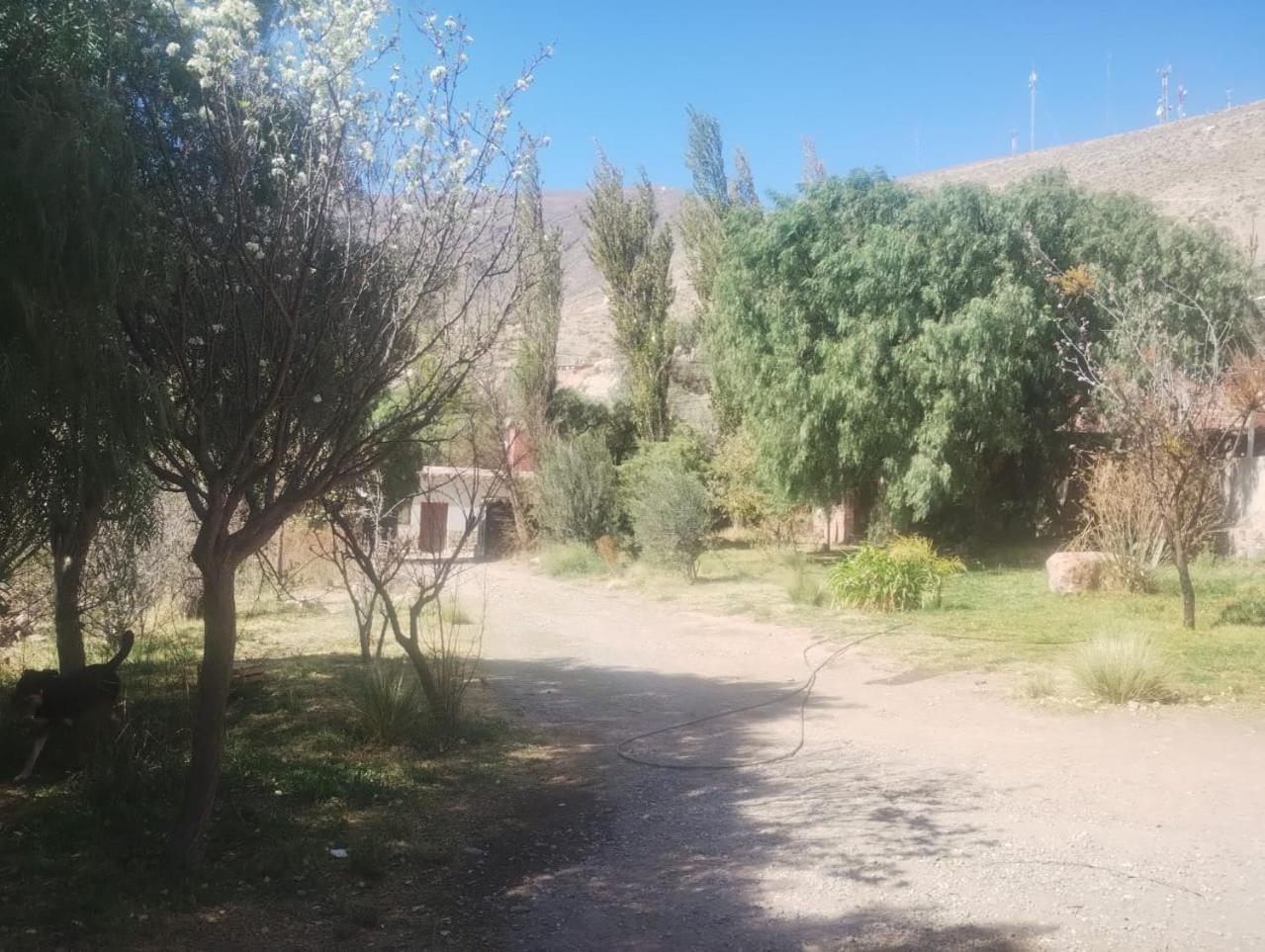La Casita Otel Tilcara Dış mekan fotoğraf