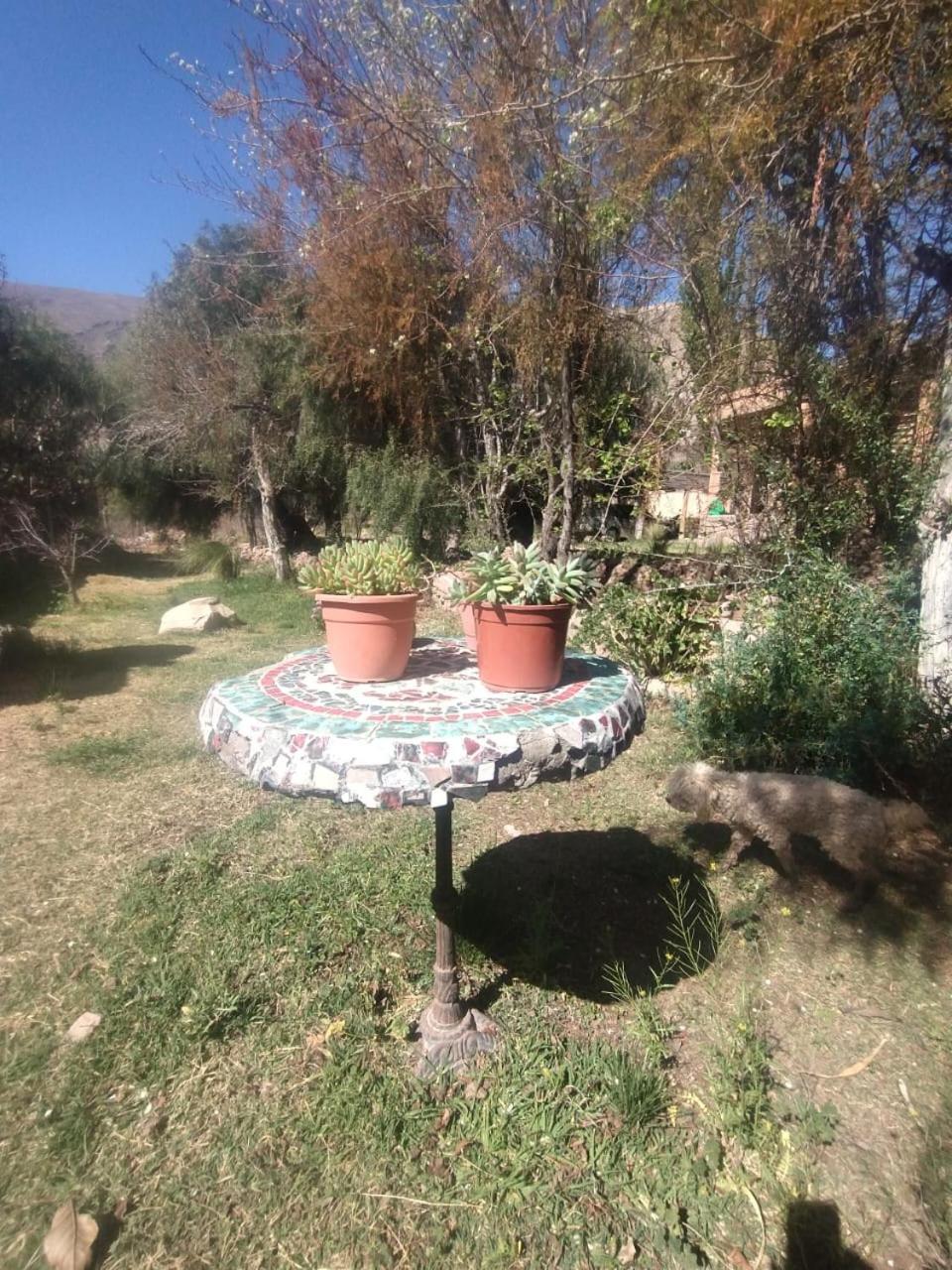 La Casita Otel Tilcara Dış mekan fotoğraf